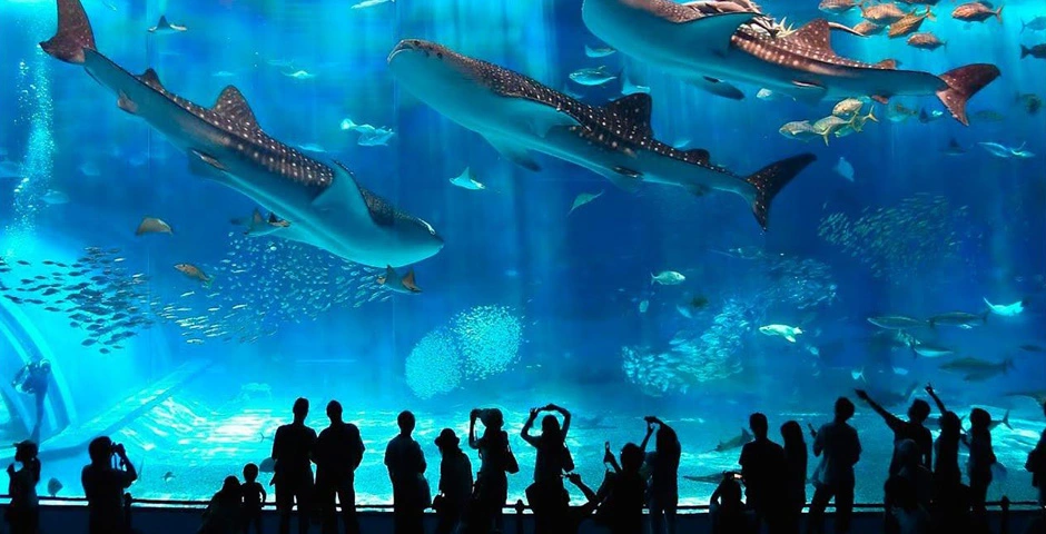 Aquariums